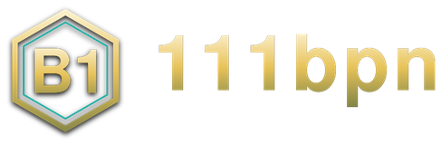 111bpn logo